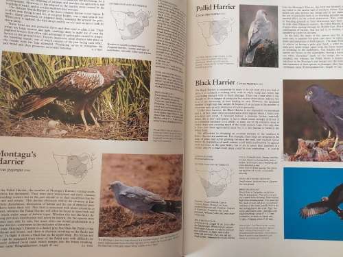 The Complete Book of Southern African Birds (PJ Ginn, WG McIlleron, P Le S Milstein)