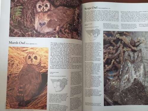 The Complete Book of Southern African Birds (PJ Ginn, WG McIlleron, P Le S Milstein)