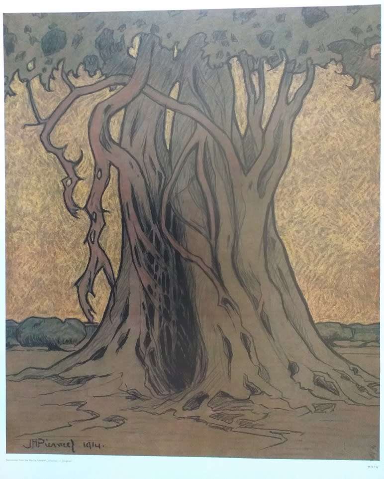Pierneef colour print kleur afdruk Vyeboom Fig Tree