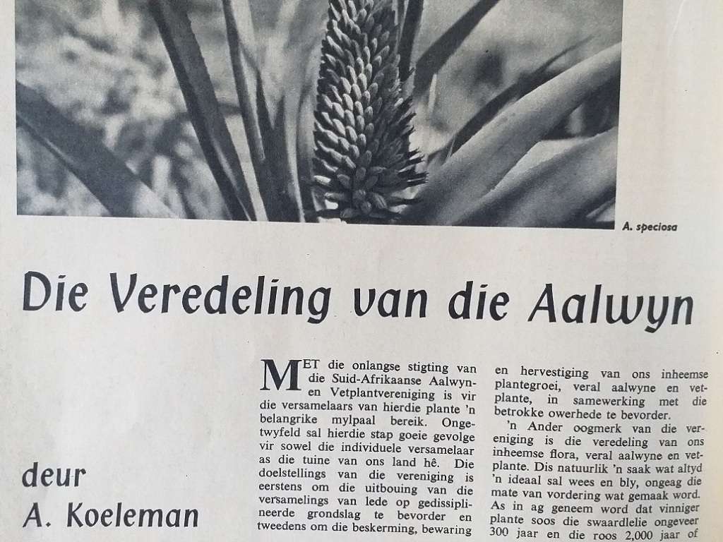 Lantern Tydskrif Magazine Des 1962 vol XII nr 2