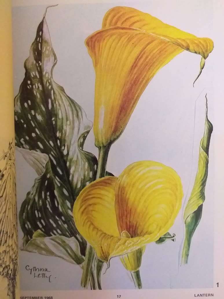 Lantern Tydskrif Magazine Sept 1968 vol XVIII nr 1