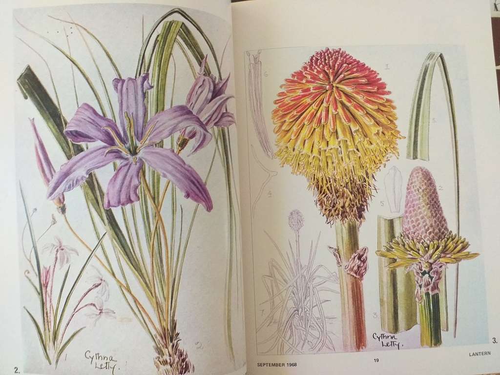 Lantern Tydskrif Magazine Sept 1968 vol XVIII nr 1