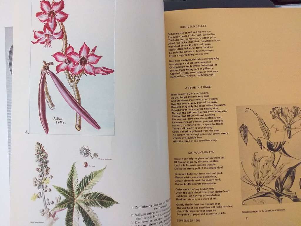 Lantern Tydskrif Magazine Sept 1968 vol XVIII nr 1