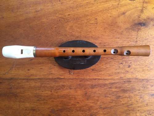 Recorder with white mouthpiece