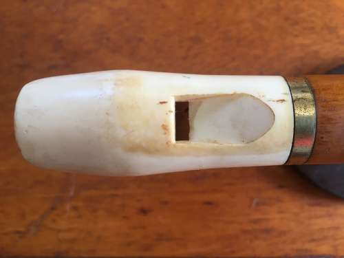 Recorder with white mouthpiece