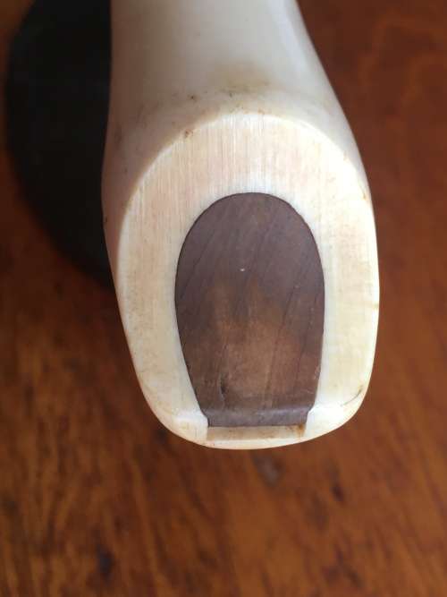 Recorder with white mouthpiece