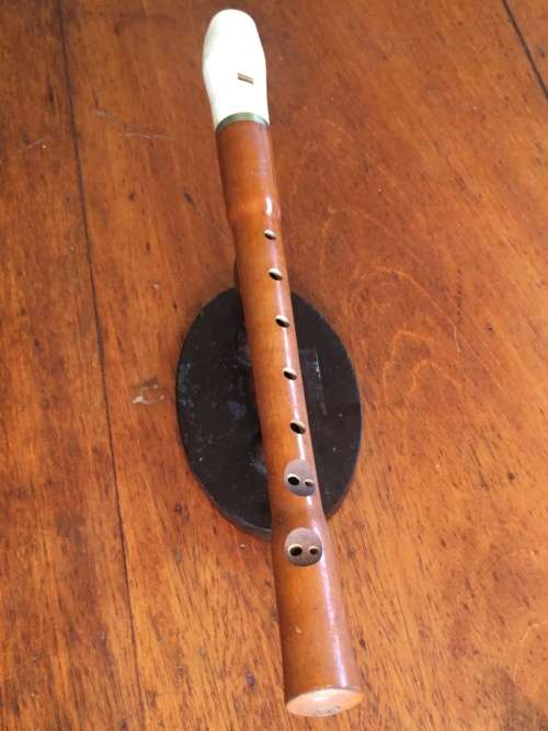 Recorder with white mouthpiece