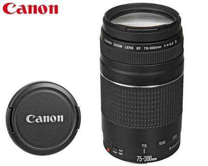 Canon Zoom Lens EF 75-300mm f/4-5.6 III Lens