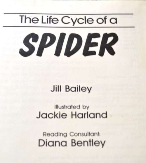 Children's Educational Books - Life Cycle - Ant and Spider