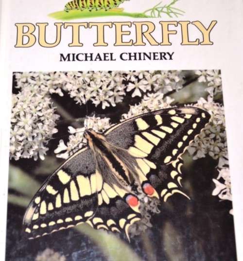 "Life Story" Series - Four Children's educational Books