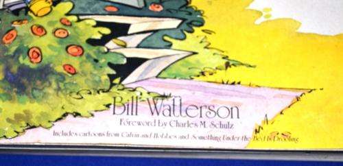 The Essential Calvin and Hobbs