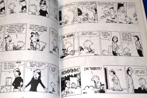 The Essential Calvin and Hobbs