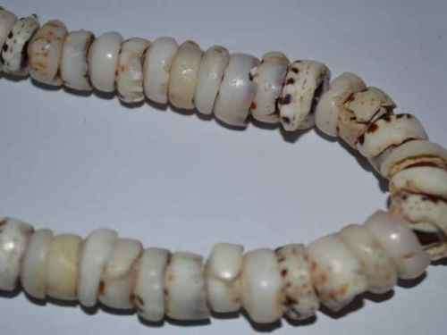 Miglio Designer Jewelry Necklace & Puka Shell Necklace