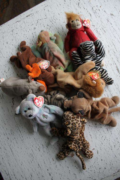 COLLECTION OF BEANIE BABIES