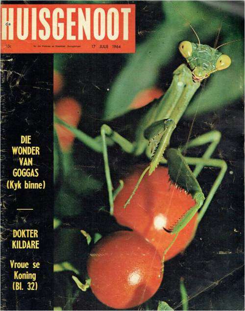 Huisgenoot Tydskrif - 17 Julie 1964 -  Sien produkbeskrywing vir inhoud