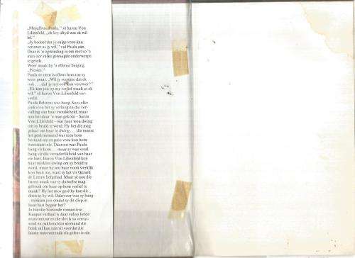 Bruidskat van vrees - Wille Martin - Ou Kaapse avontuur verhaal