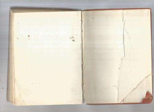 Die grys Adelaar - CJ Groenewald - 1944 -  Skattejag Jeug avontuur verhaal