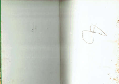 Die Nuwe Skatkis - Deel 2 -