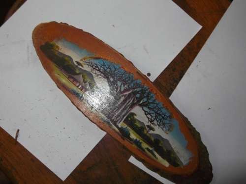 Big Tree Messina painting on polished tree tree trunk