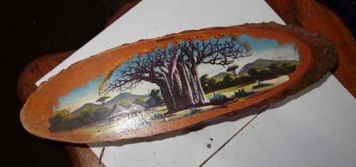 Big Tree Messina painting on polished tree tree trunk
