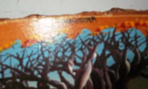 Big Tree Messina painting on polished tree tree trunk