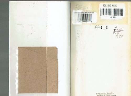 Die heidendogters jubel - Riana Scheepers - 1995 - Roman met vroue in weermag as agtergrond