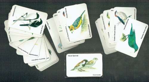 Newman's Bird match cards - Playing card size - 84 cards in plastic box - rare