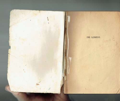 Gerrie Radlof - Die losprys - 1958 - Pionier boek - Oloff die seerower nr 7