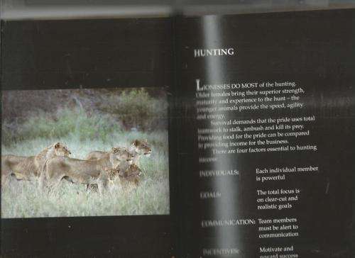 The power of the Pride - Ian Thomas - Create powerfull business teams