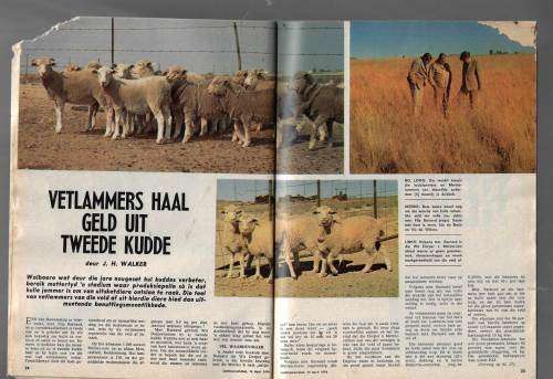 Landbouweekblad Tydskrif 14 April 1978 - Kyk na scans vir inhoud