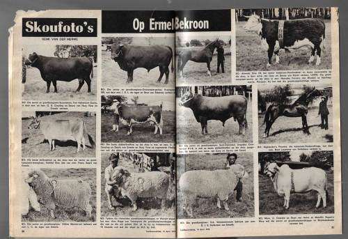 Landbouweekblad Tydskrif 14 April 1978 - Kyk na scans vir inhoud