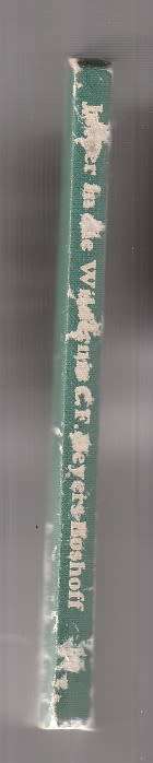 Jasper in die Wildernis - CF Beyers-Boshoff - 1977 - Jasper reeks nr 8