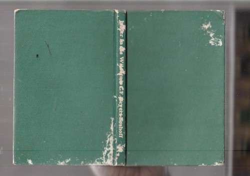 Jasper in die Wildernis - CF Beyers-Boshoff - 1977 - Jasper reeks nr 8