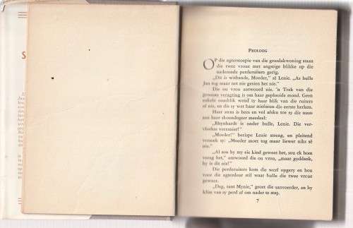 Ek sal jou einde sien - SG Smidt (Johann vd Post) 1948 - Spannings verhaal