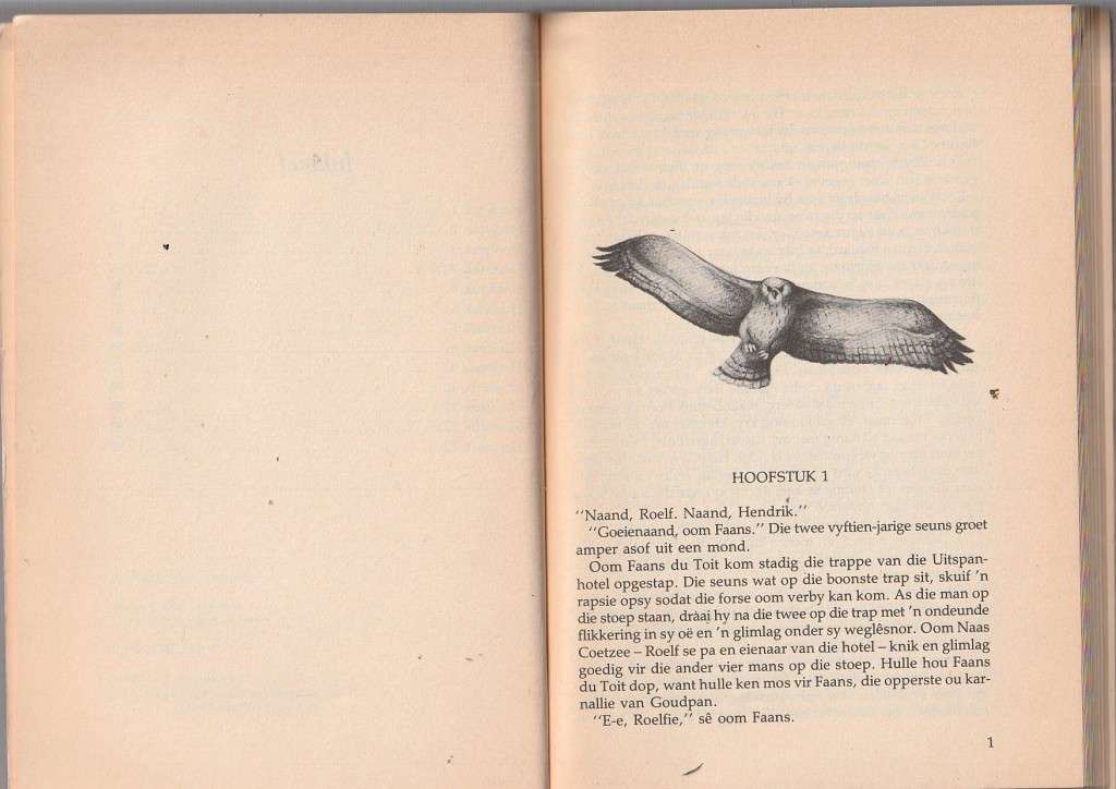 Die Nagvalke - Dirk de Beer - Jeug Avontuur (b)