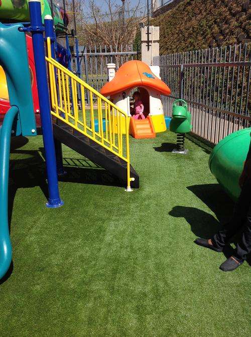 Artificial Grass