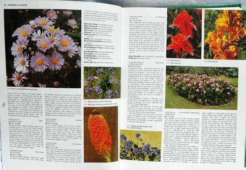 THE A-Z OF GARDENING IN SOUTH AFRICA -- W.G. Sheat