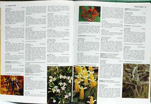 THE A-Z OF GARDENING IN SOUTH AFRICA -- W.G. Sheat
