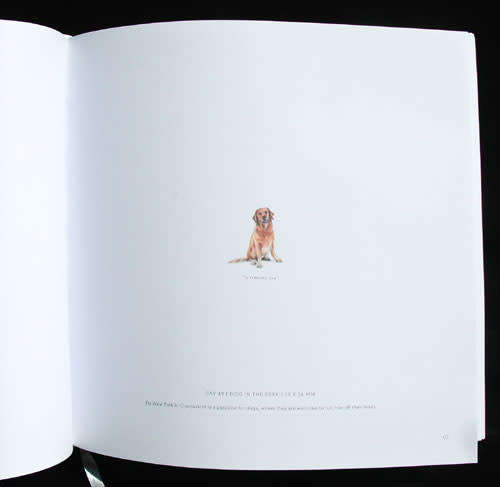 365 POSTCARDS FOR ANTS -- Lorraine Loots