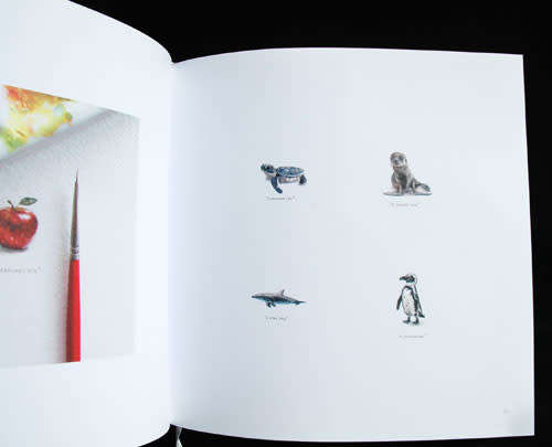 365 POSTCARDS FOR ANTS -- Lorraine Loots