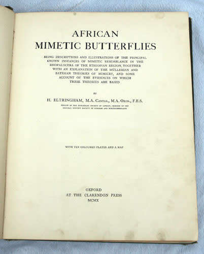 AFRICAN MIMETIC BUTTERFLIES -- H. Eltringham 1910