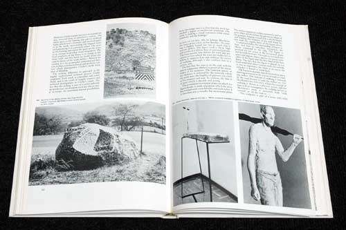 LOOKING AT SOUTH AFRICAN ART a Guide to the Study and Appreciation of Art -- Frieda Harmsen