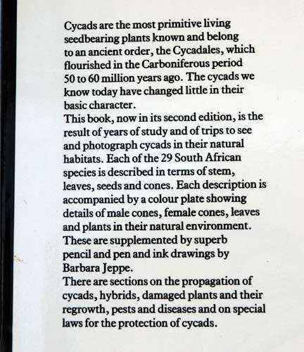 CYCADS Of South Africa -- Cynthia Giddy