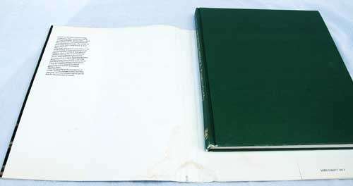 CYCADS Of South Africa -- Cynthia Giddy