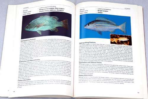 MARINE SPECIES OF THE SULTANATE OF OMAN an Identification Guide  -- T.Z. Salim Al-Abdessalaam