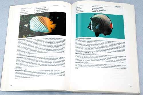 MARINE SPECIES OF THE SULTANATE OF OMAN an Identification Guide  -- T.Z. Salim Al-Abdessalaam