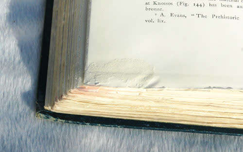 Palaces of Crete -- Angelo Mosso