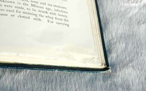 Palaces of Crete -- Angelo Mosso