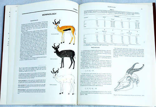 THE SPRINGBOK Antidorcas Marsupialis (Zimmermann, 1780) -- J.D. Skinner & G.N. Louw