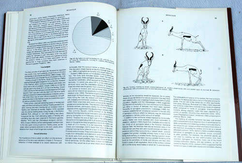 THE SPRINGBOK Antidorcas Marsupialis (Zimmermann, 1780) -- J.D. Skinner & G.N. Louw